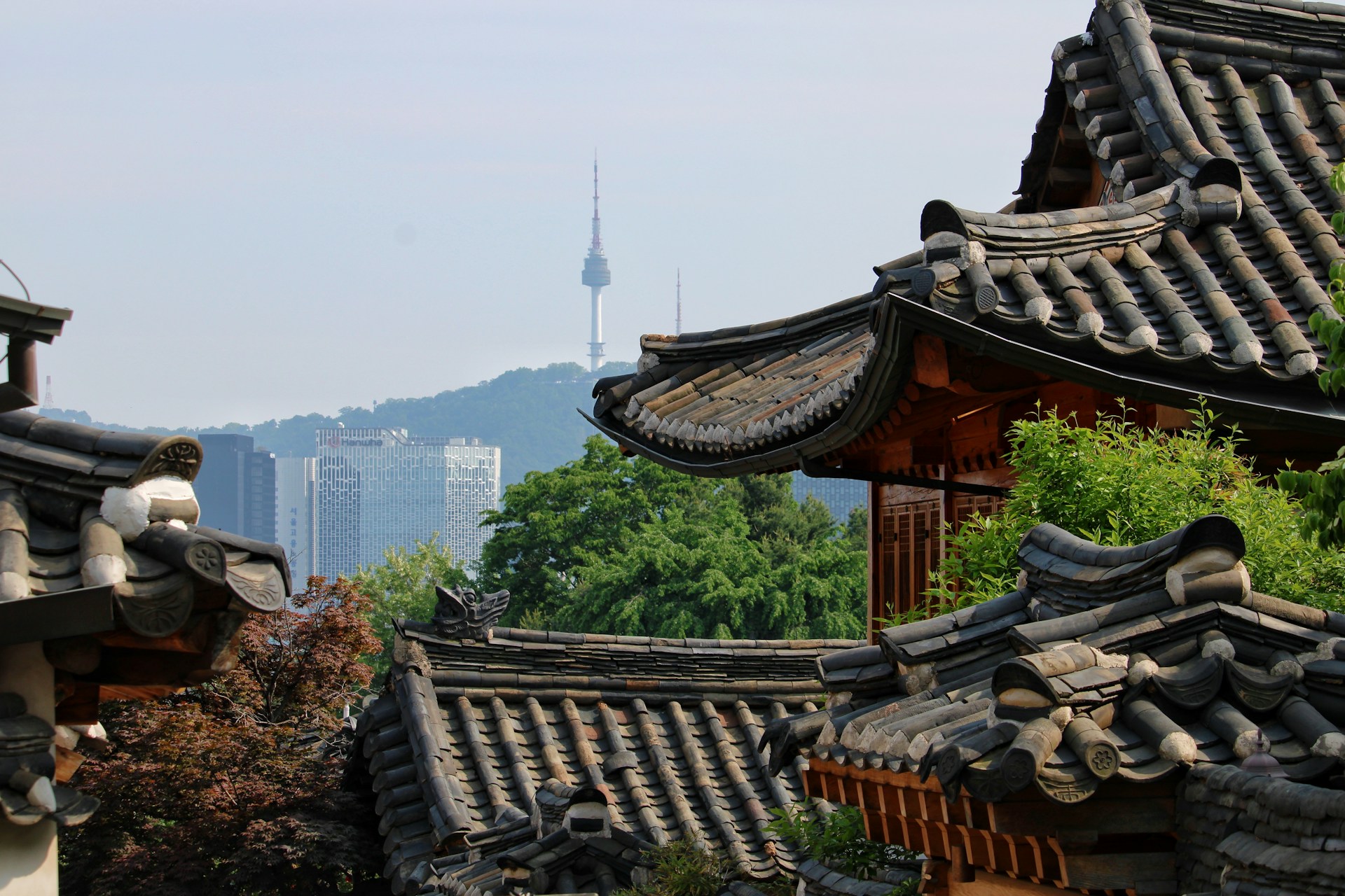 Korean culture and food